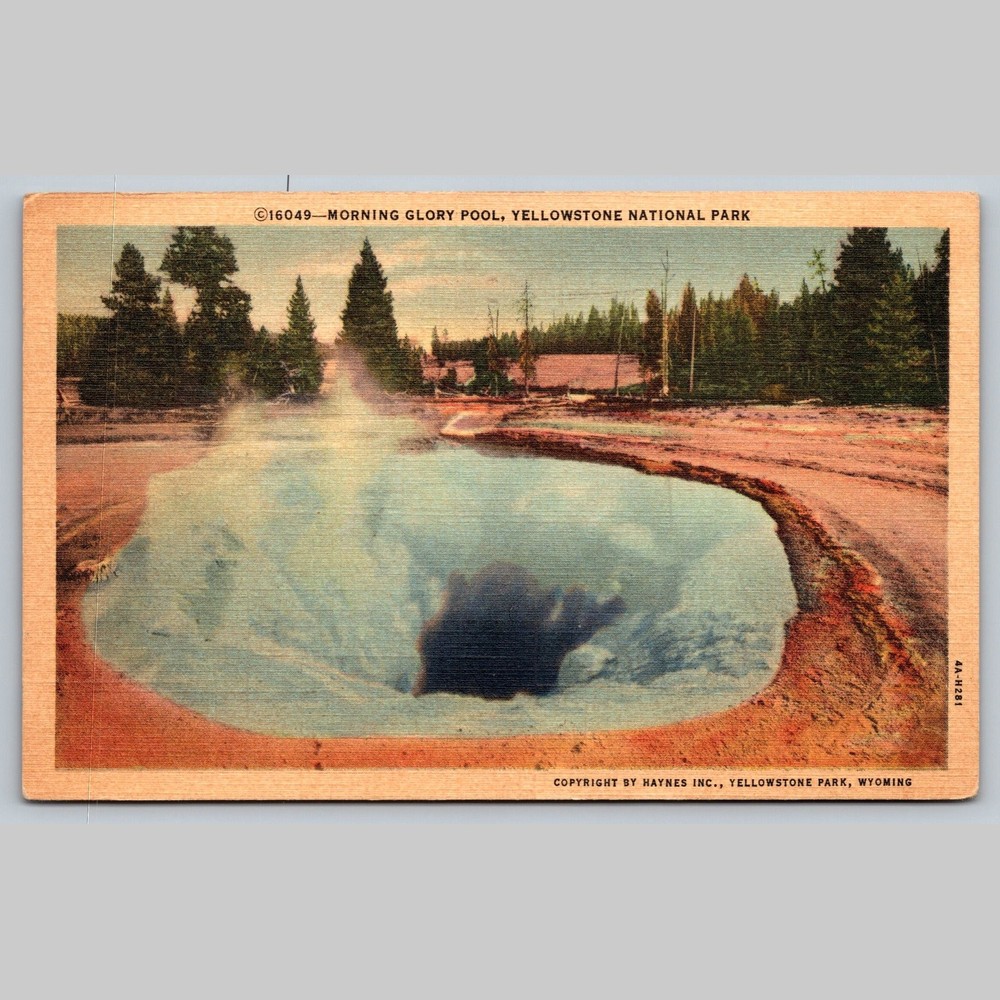 Postcard Morning Glory Pool Yellowstone National Park Wyoming