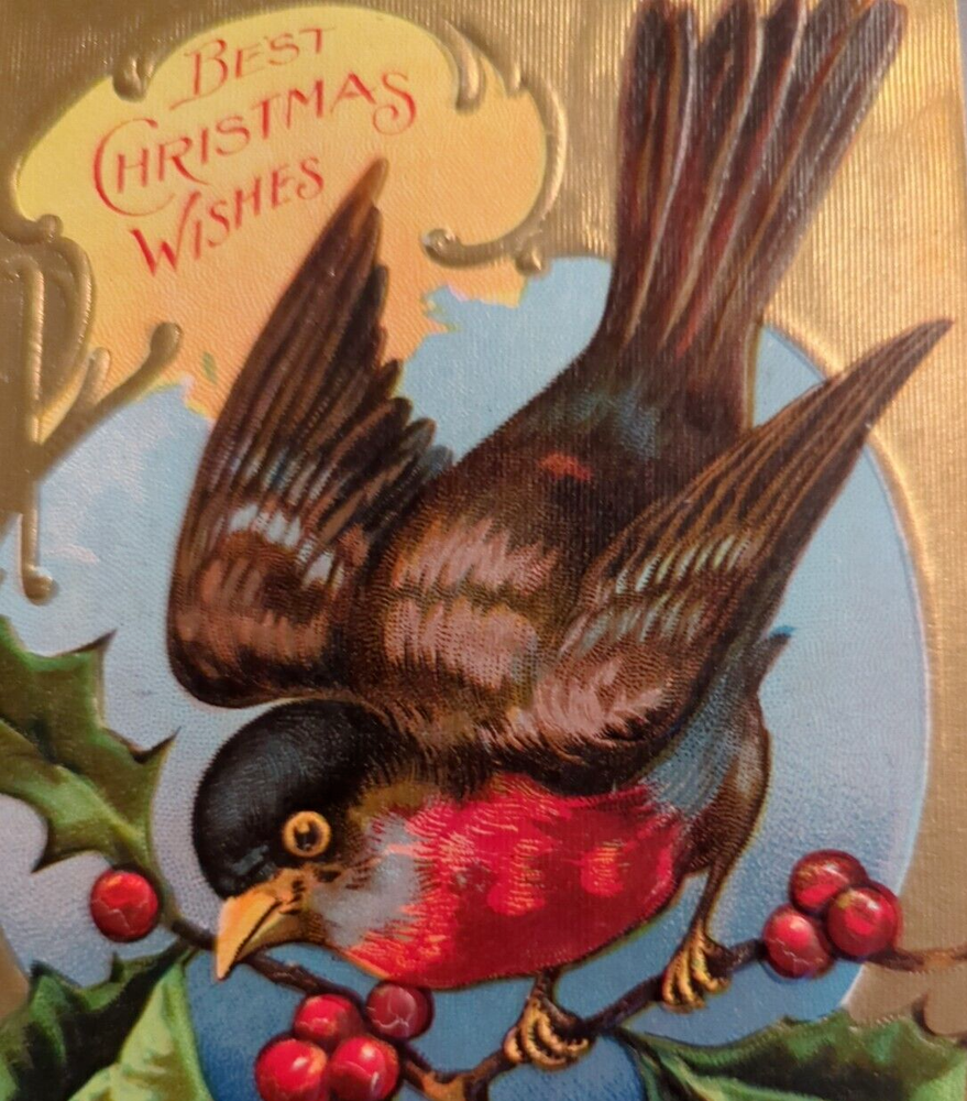 Embossed Christmas Wishes Red Breasted Bird on Holly Sprig Antique 1909 Postcard