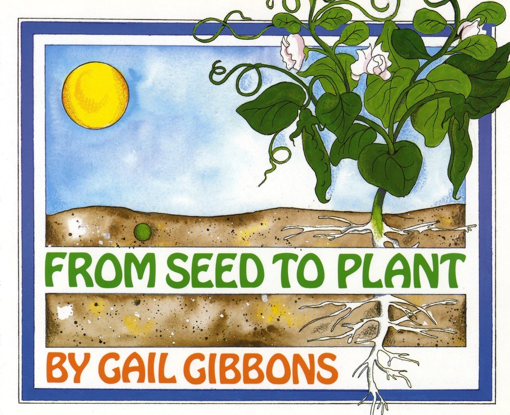 From Seed to Plant Multicolor