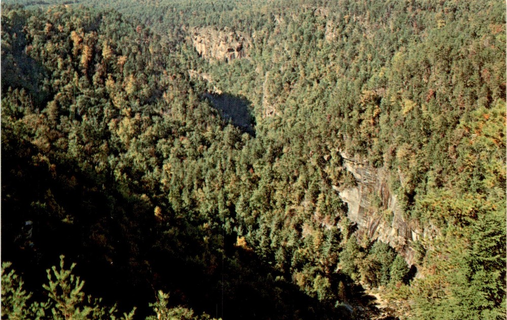 Tallulah Gorge, Tallulah Point, Northeast Georgia, Tallulah River, Postcard