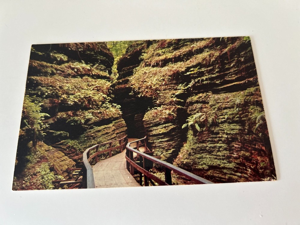 Moss Chamber in Cold Water Canyon Wisconsin Dells Wisconsin Postcard