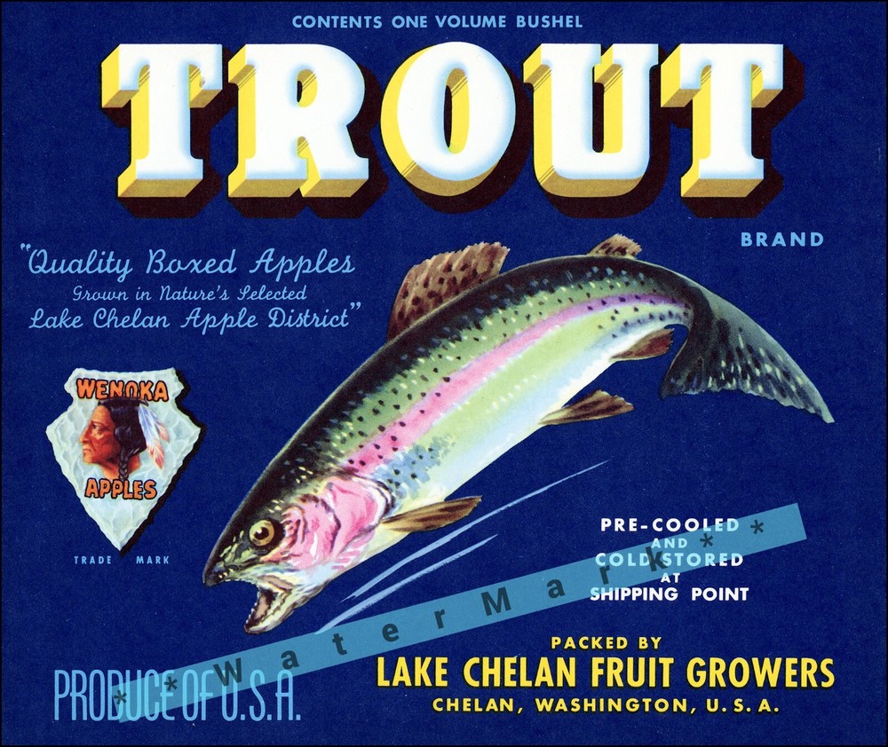 Trout 1940 Apple Crate Label Art Vintage Poster Print Retro Style Fruit Box Art