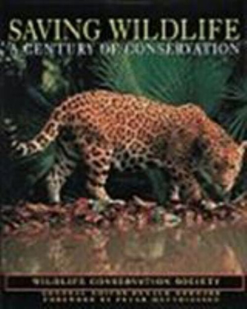 Saving Wildlife : A Century of Conservation Hardcover