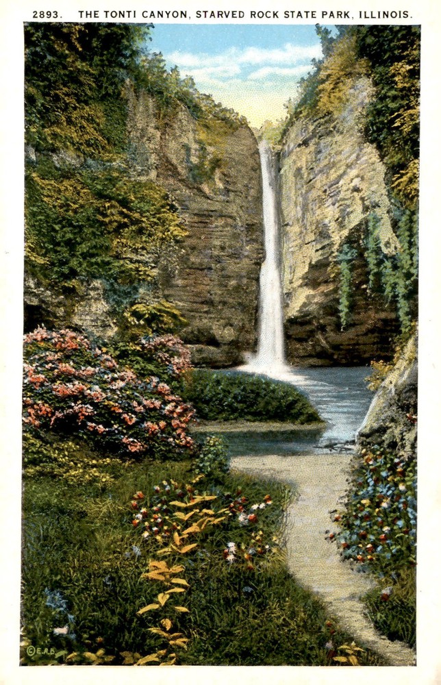 Starved Rock State Park, Illinois - Tonti Canyon Postcard
