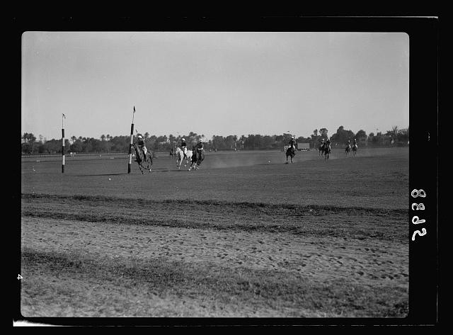 Gezira Gardens,Cairo,Egypt,American Colony Jerusalem Photo Dept,1934-1939,17