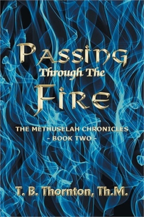 Passing Through The Fire (Paperback or Softback)