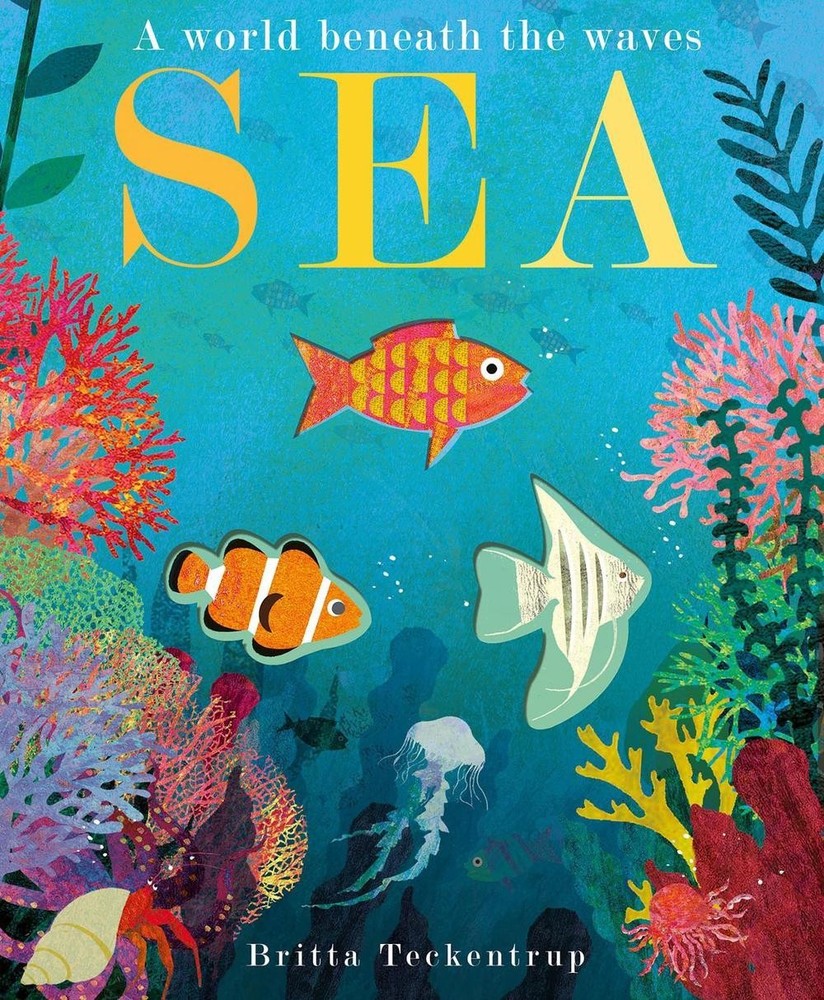 Sea: A World Beneath the Waves by Patricia Hegarty (English) Paperback Book