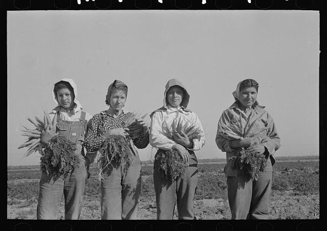 Photo:Mexican girl, carrot worker, Edinburg, Texas