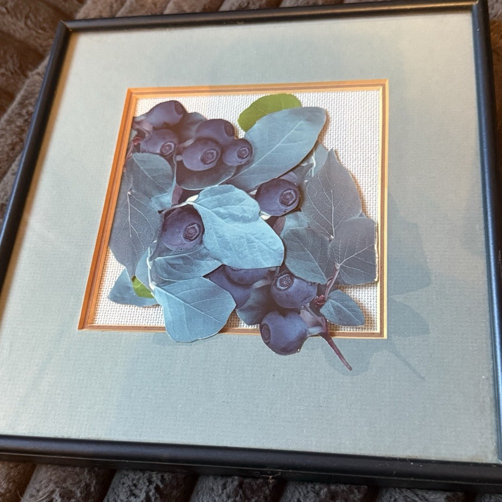Vintage Framed Botanical Blueberries Wall Art Cottage Decor 9x9 OOAK