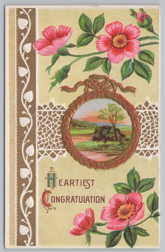 Greetings~Congratulations~Wild Roses~Vintage Postcard