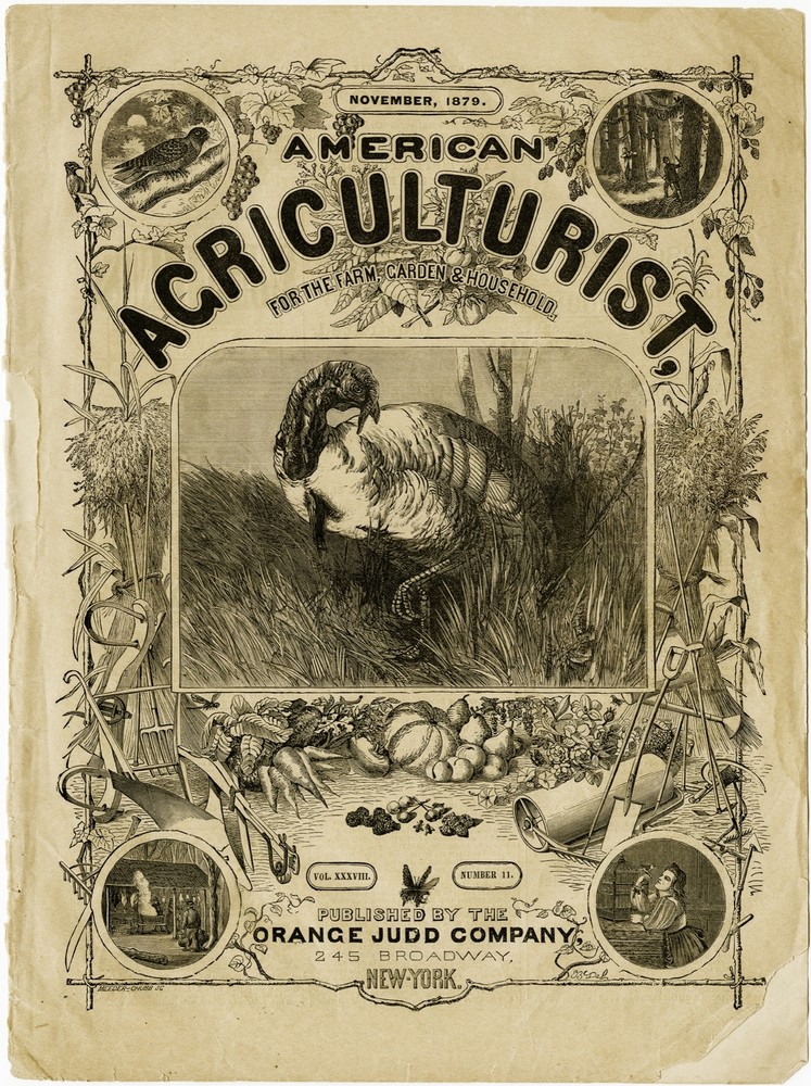 3551.American Agriculturist Magazine POSTER.Turkey.Home Room Office art decor