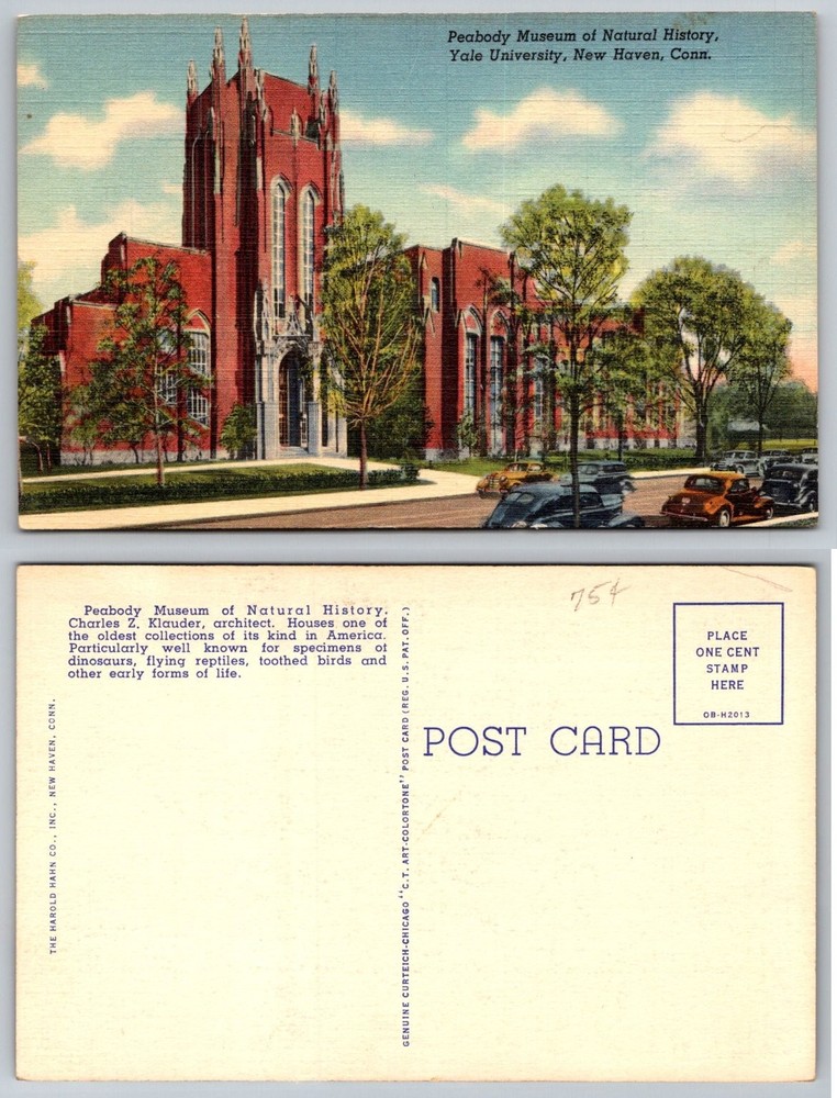 Peabody Museum Yale University New Haven CT Linen Postcard Vintage Cars