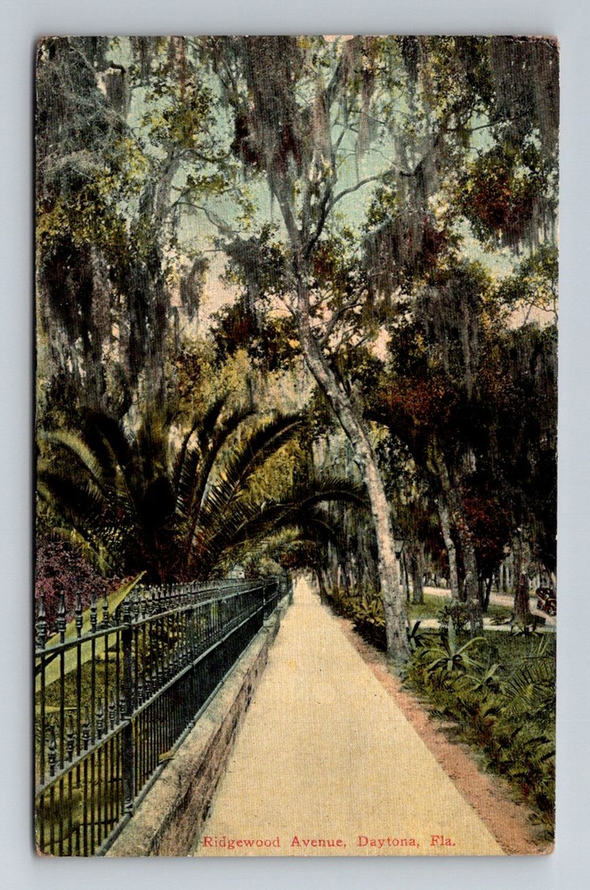 Daytona, FL-Florida, Ridgewood Avenue Moss Draped Walkway Vintage Postcard