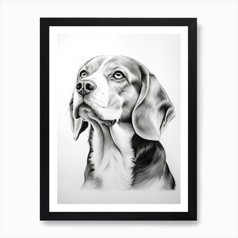 Beagle Dog Line Drawing Art Print Framed Wall Poster Canvas Picture
