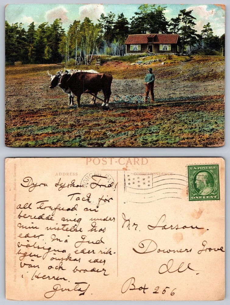 Vintage Postcard: Farming in Sweden, Oxen Plowing Field, Swedish Farmhouse