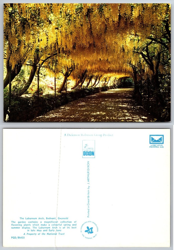 Bodnant Laburnum Arch Postcard - J. Arthur Dixon - Gwynedd, Wales