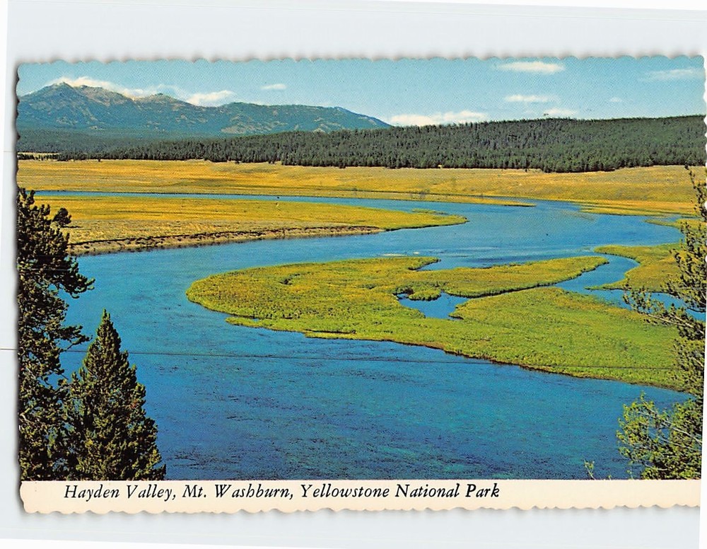 Postcard Hayden Valley Mt. Washburn Yellowstone National Park Wyoming USA