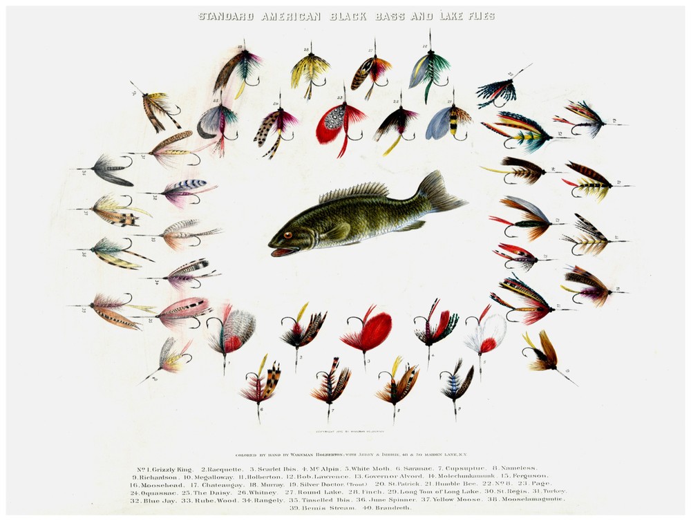 Decor Poster. Fine Graphic Art. American black bass & flies. Wall Design. 1277