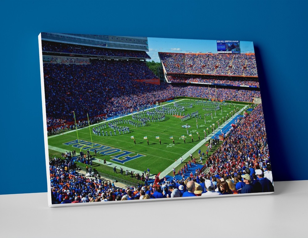 Florida Gators Football Stadium Poster or Canvas