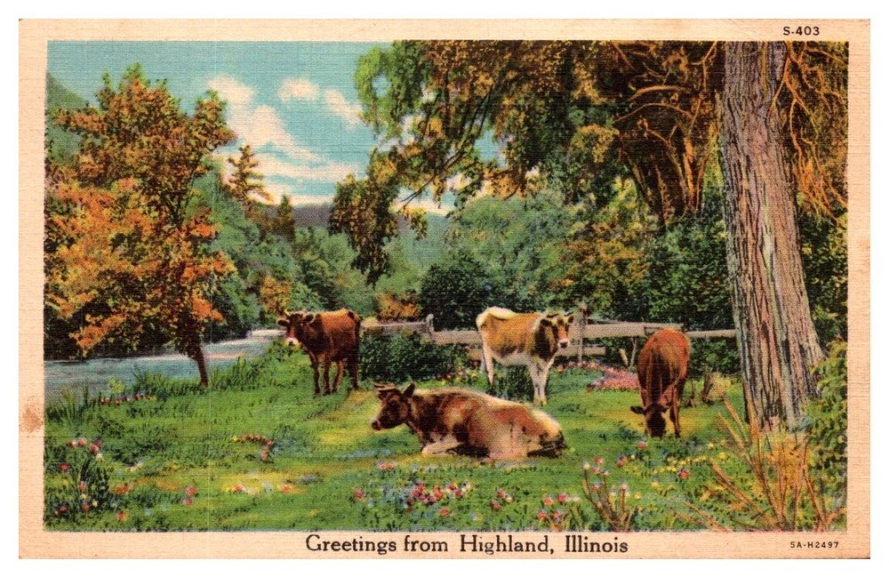 1937 Cows in Pasture Greetings From Highland Illinois Vintage Postcard