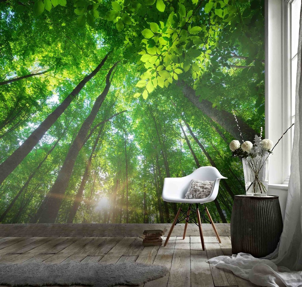 3D Forest Sunshine Landscape Wall Murals Wallpaper Murals Wall Sticker