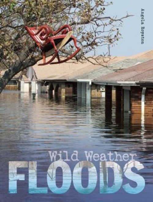 Floods Library Binding Angela RoystonFree US Delivery | ISBN:1595665846
