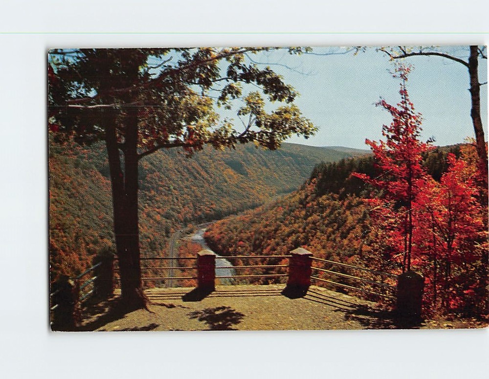 Postcard South View from Lookout Colton Point State Park Pennsylvania USA