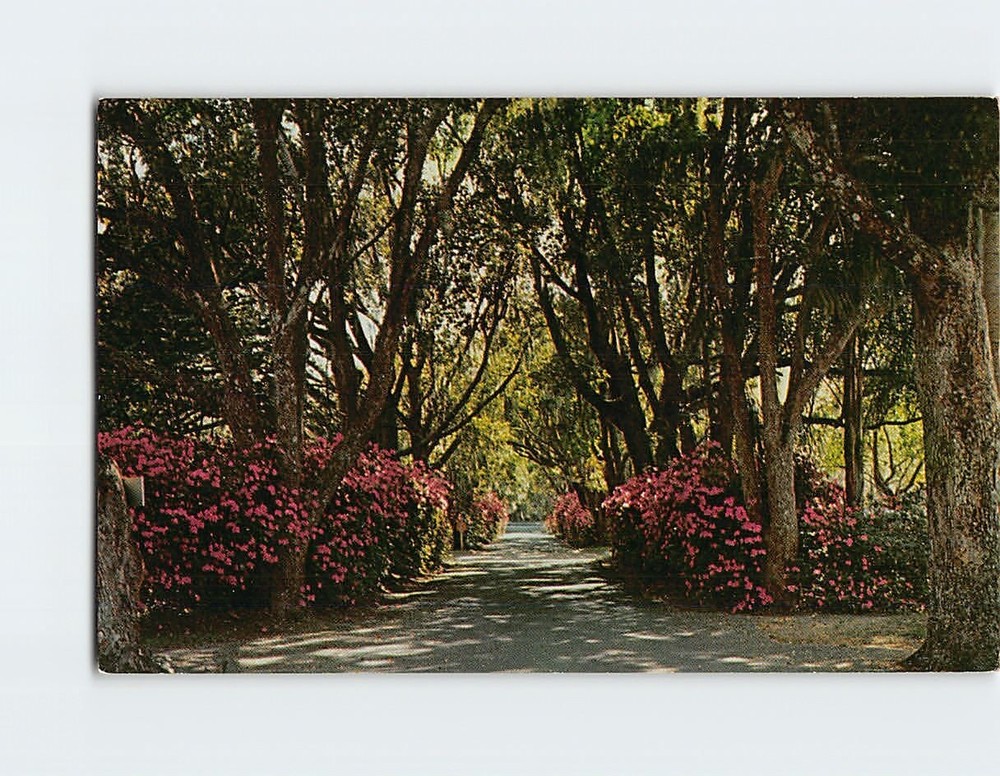 Postcard Entrance From South Terrace At Alabama Hotel Winter Park Florida