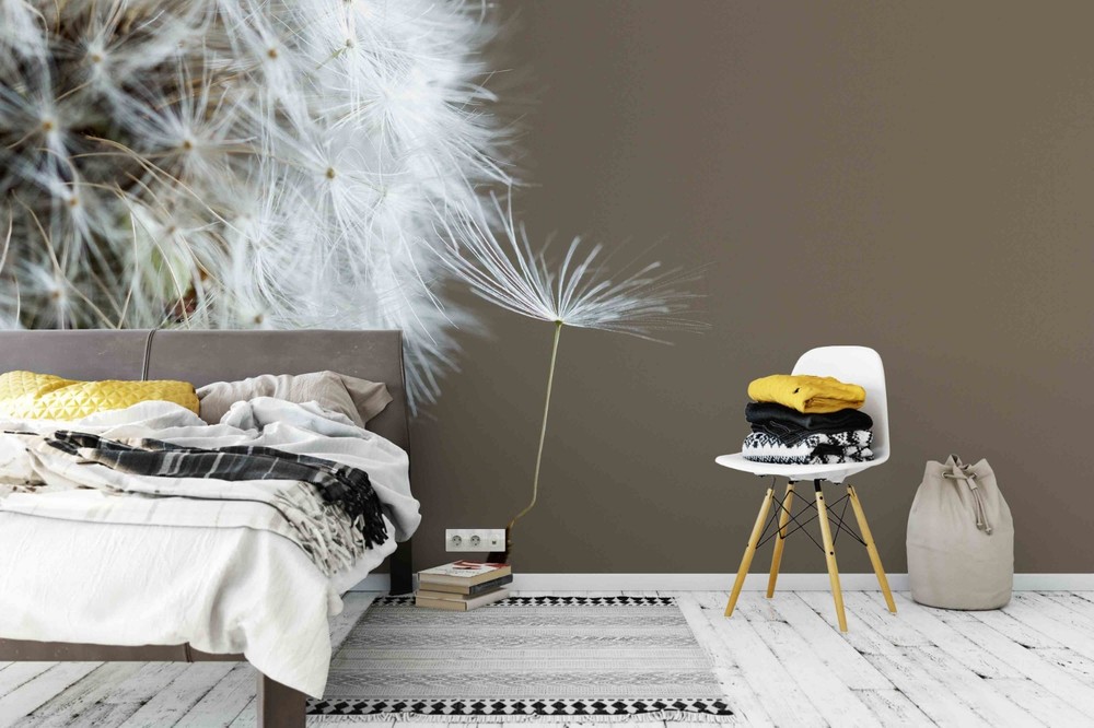 3D Dandelion Seeds Close-up Wall Murals Wallpaper Murals Wall Sticker 2