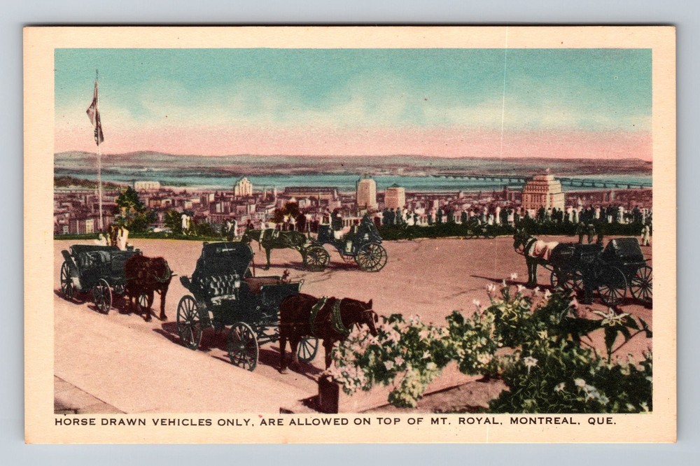 Canada Quebec Montreal Horse Drawn Vehicles Mt. Royal Old View Vintage Postcard
