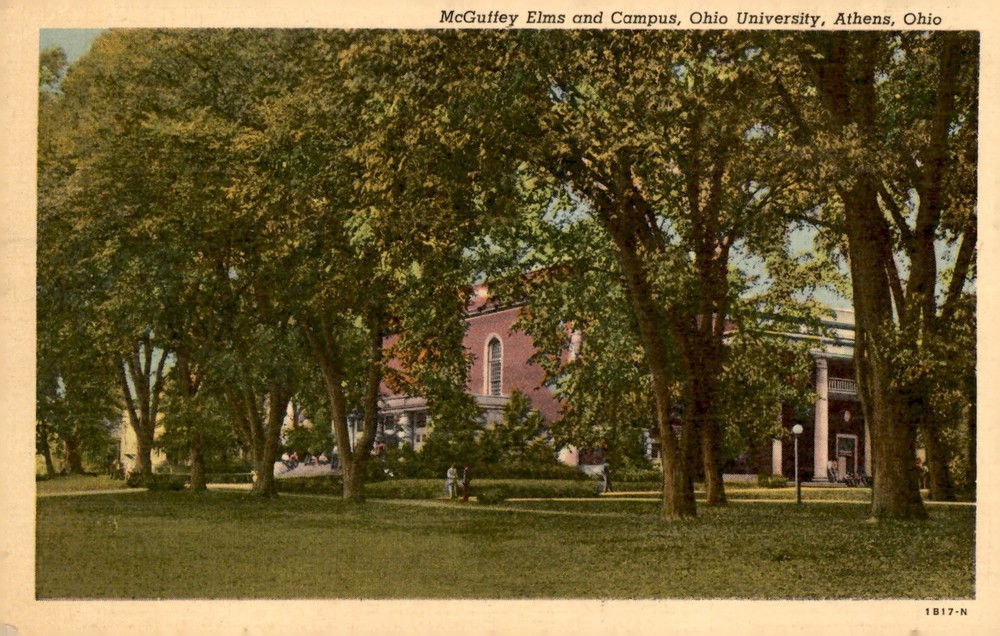 McGuffey Elms, Ohio University, Athens, 1959 Postcard