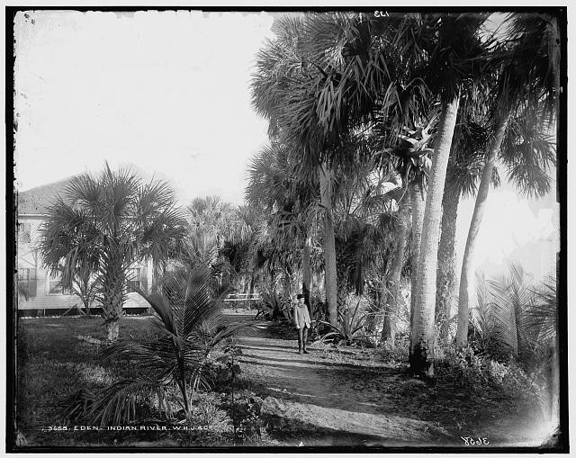 Hotel,Eden,resorts,inns,Indian River,Florida,FL,Detroit Publishing Company,1880