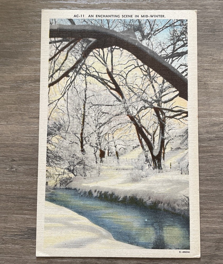 Linen Postcard Enchanting Mid-Winter Scene