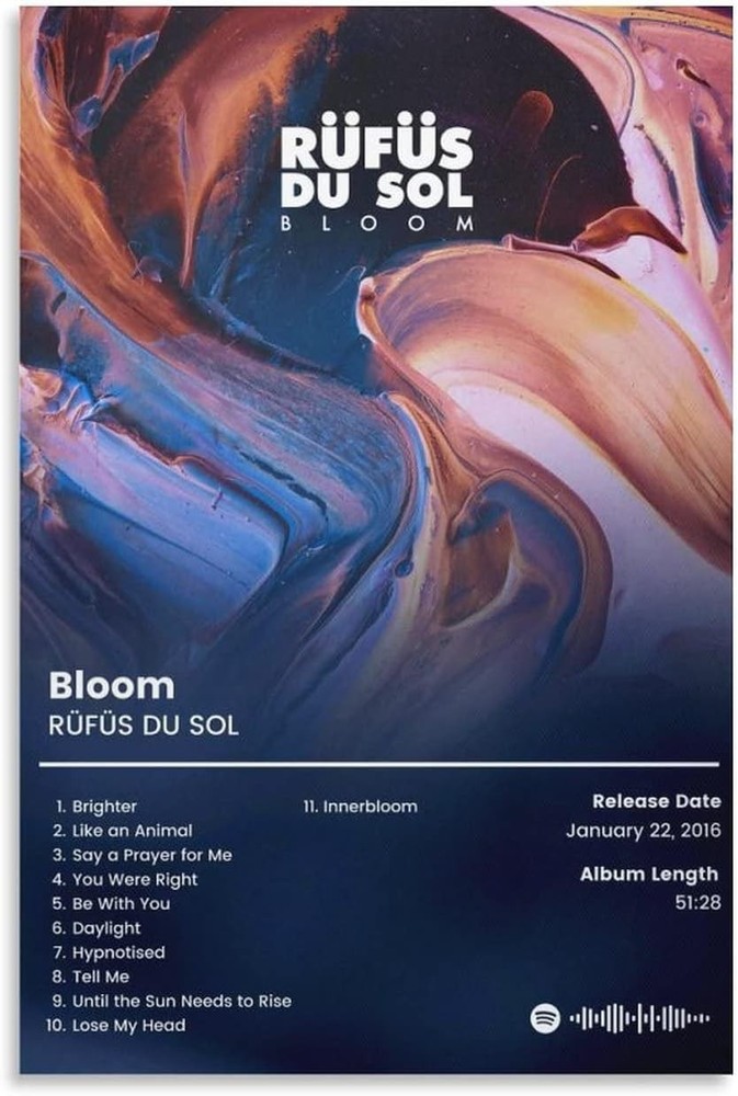 Rufus Du Sol Bloom Poster 24x36 Music Wall Art Unframed