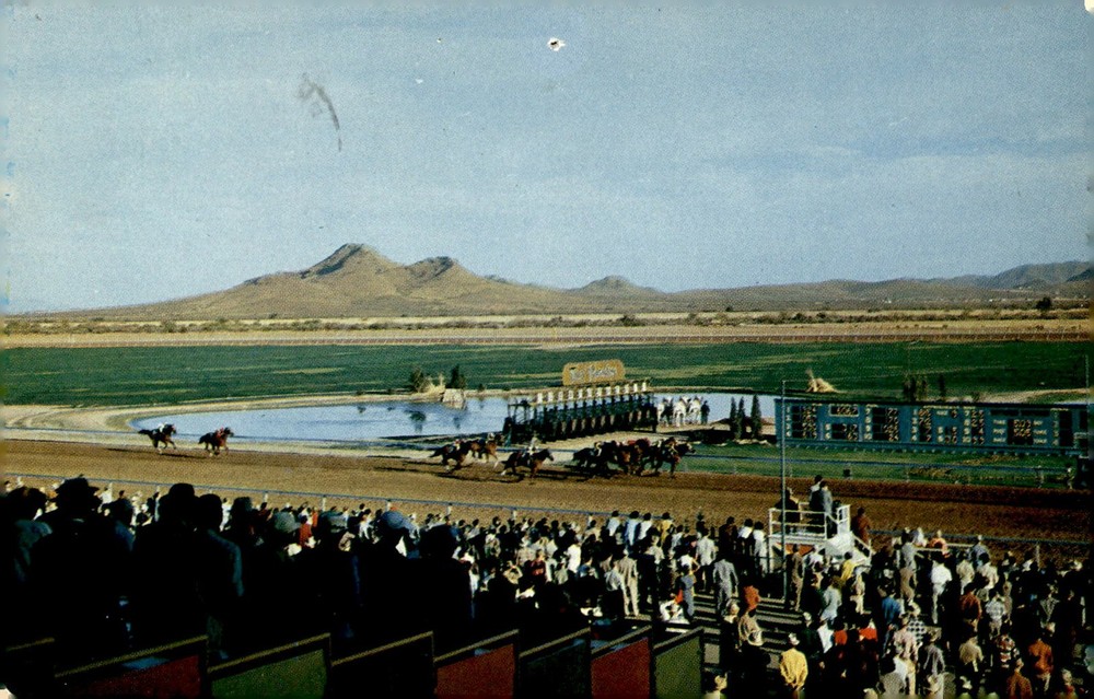 Turf Paradise Race Track, Phoenix, 1960 Postcard