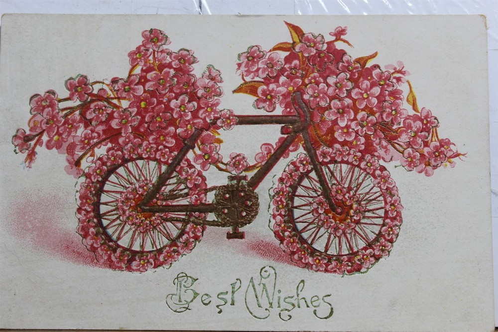 Greetings Best Wishes Postcard Old Vintage Card View Standard Souvenir Postal PC