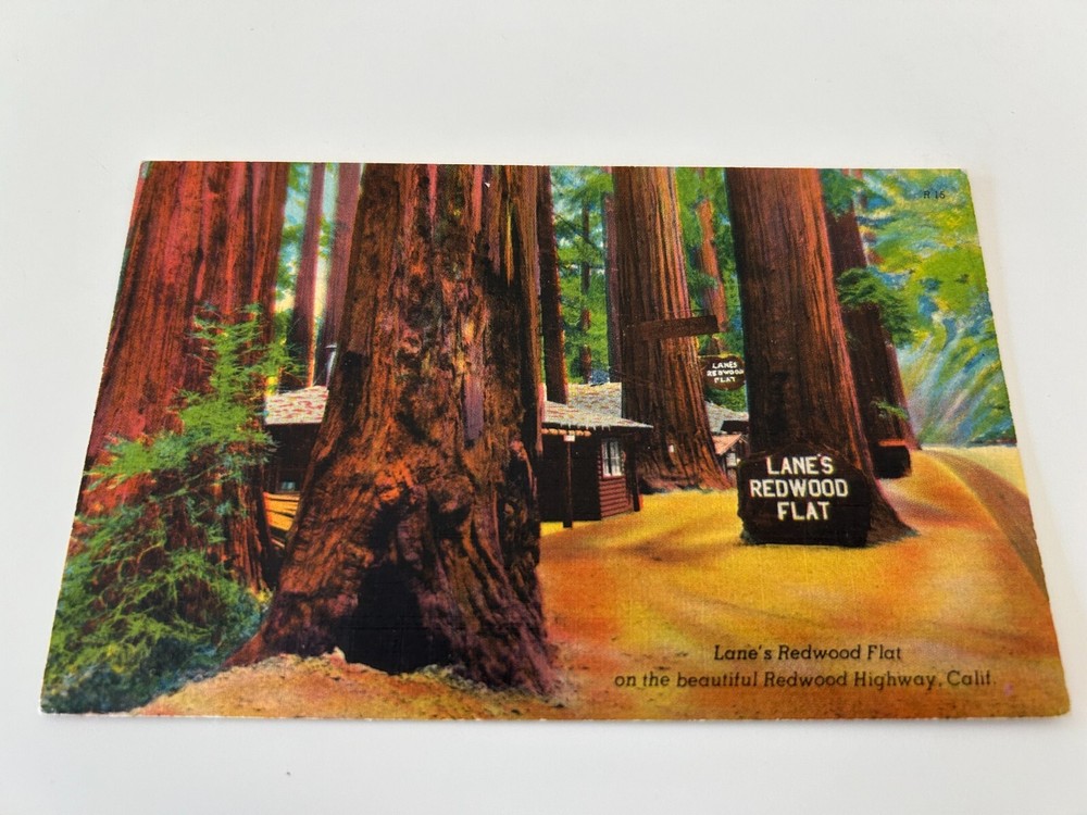 Lane's Redwood Flat on the Beautiful Redwood Highway California Postcard