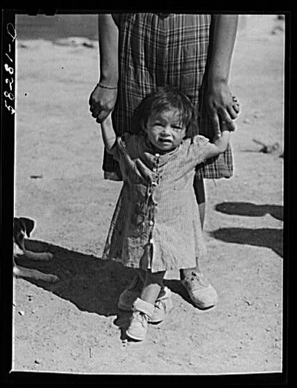 Cheyenne Indian Tongue River Reservation,Montana,MT,Marion Post Wolcott,FSA,4