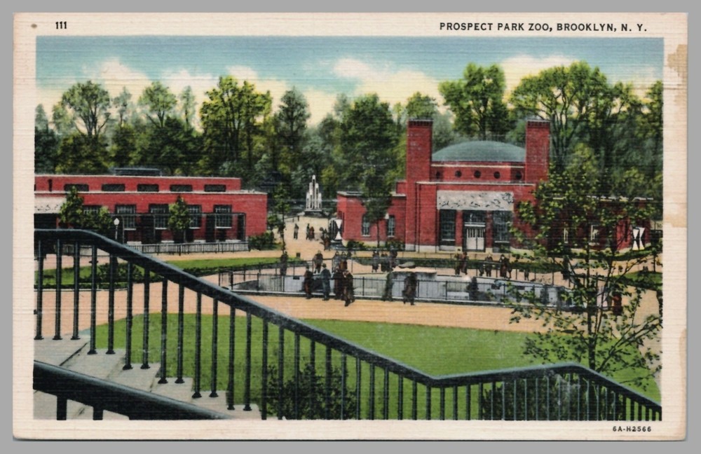 Prospect Park Zoo Brooklyn New York NY Linen 1936 Vintage UNP Postcard