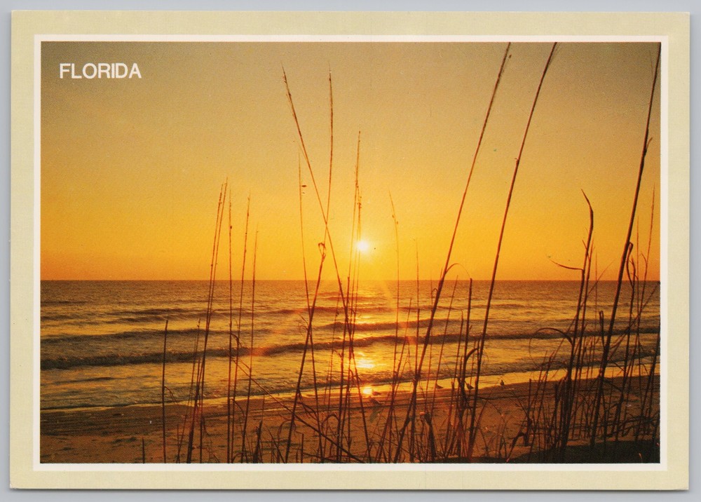 State View~Beach Scene At Sunset In Florida~Continental Postcard