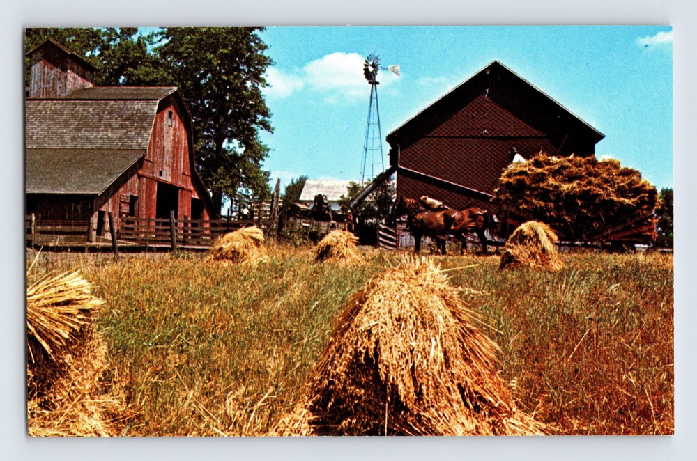 Postcard Iowa Kalona IA Oat Harvest Farming 1970s Unposted Chrome