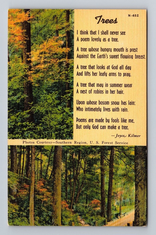 Trees Poem Forest Vintage Postcard