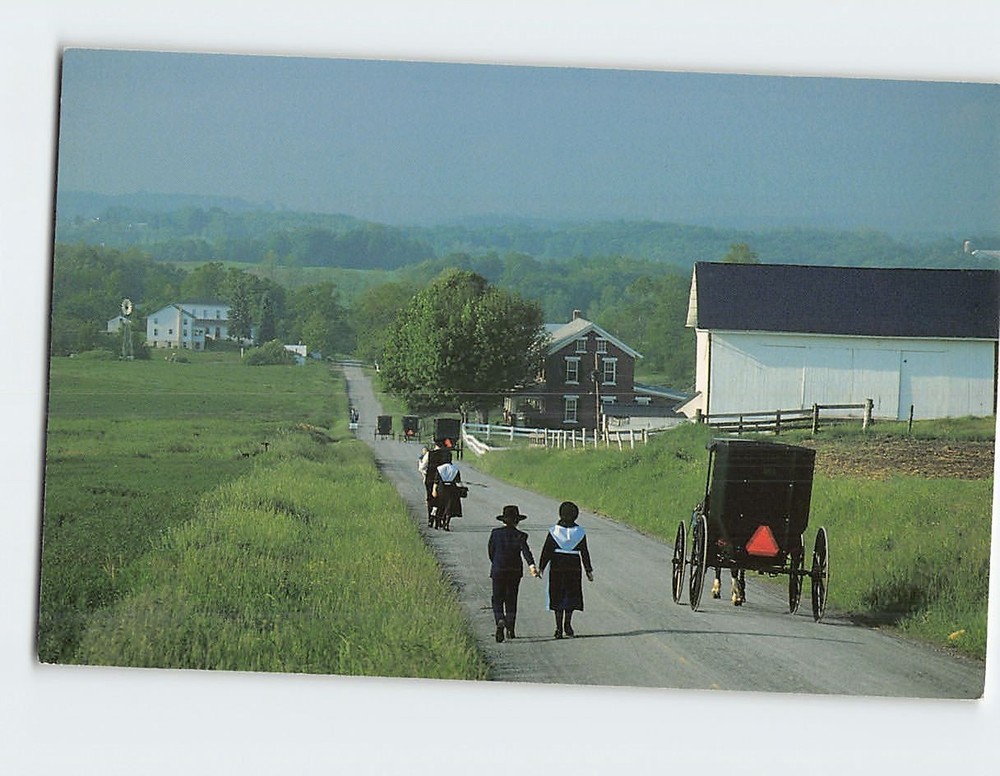Postcard Horse & Buggy Amish People On the Way to Church