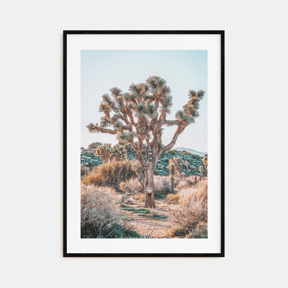 Joshua Tree National Park Colorful Poster Print No 4 Joshua Tree National Park