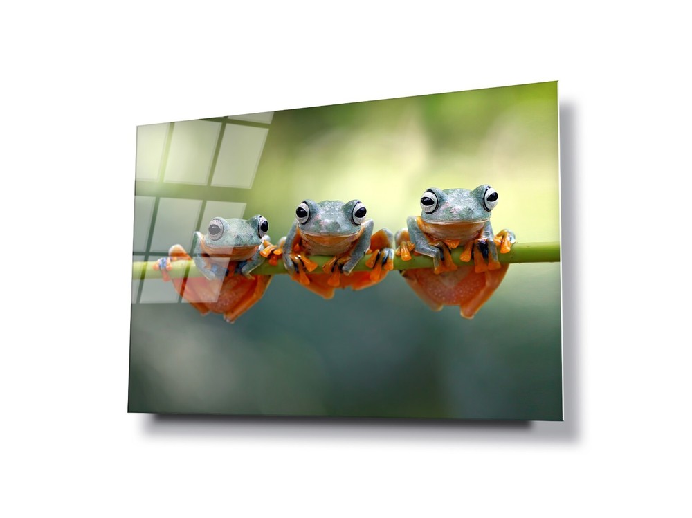 GLASS WALL ART POSTER CANVAS Digital Printed HD  PHOTOGRAPH TREE FROGS IN LINE