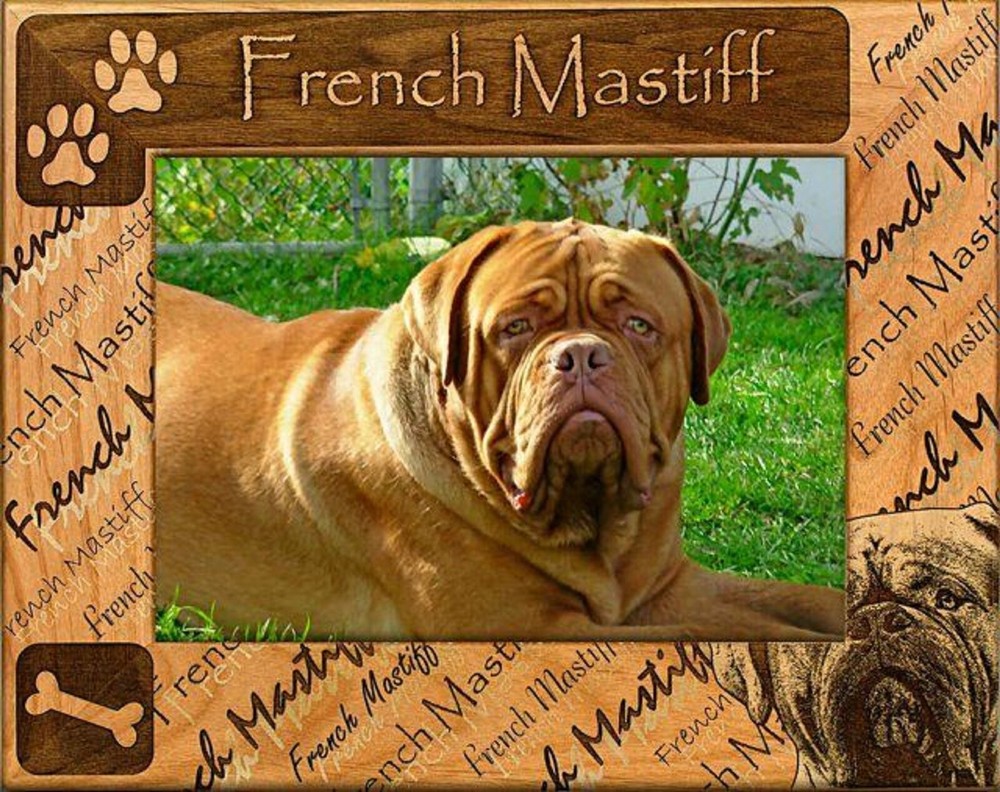 French Mastiff Laser Engraved Wood Picture Frame (4 x 6)