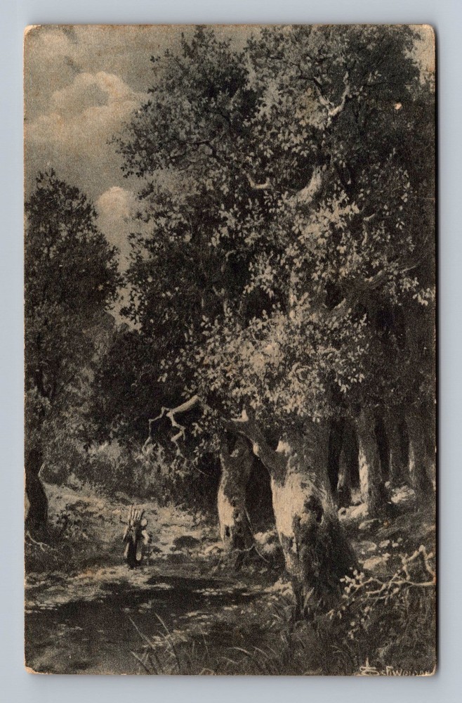 Italy- Scenic Path And Forest Standard Old Postal Card Vintage c1911 Postcard