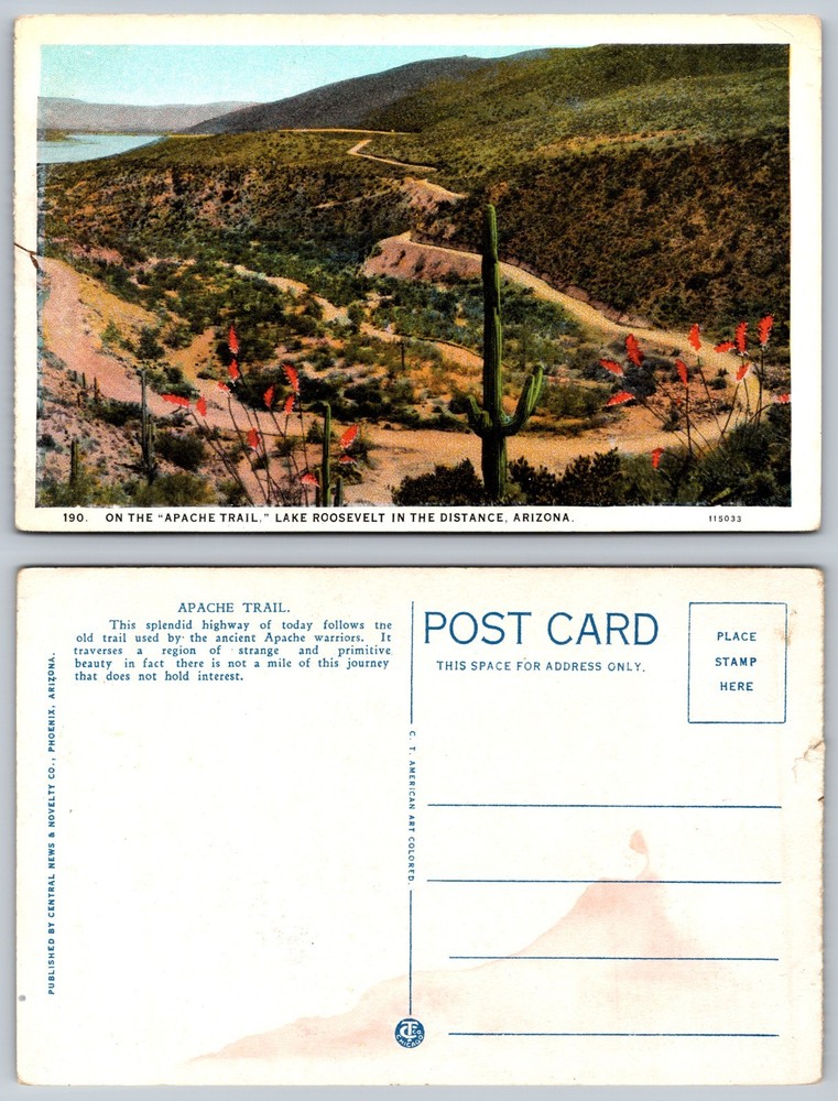Apache Trail Lake Roosevelt Arizona Desert View Postcard