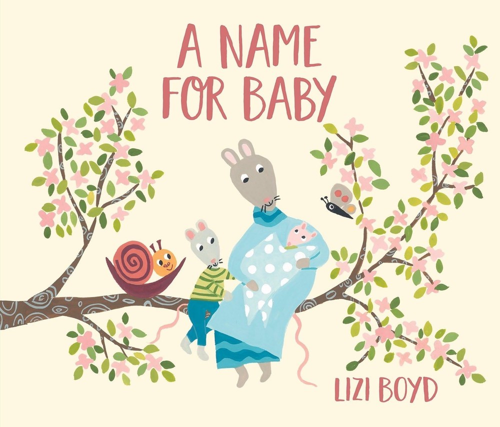 A Name for Baby - hardcover Boyd, Lizi