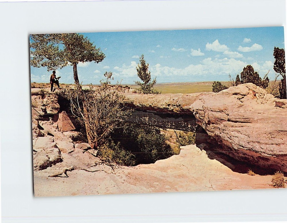Postcard Agate Bridge Petrified Forest National Monument Arizona USA